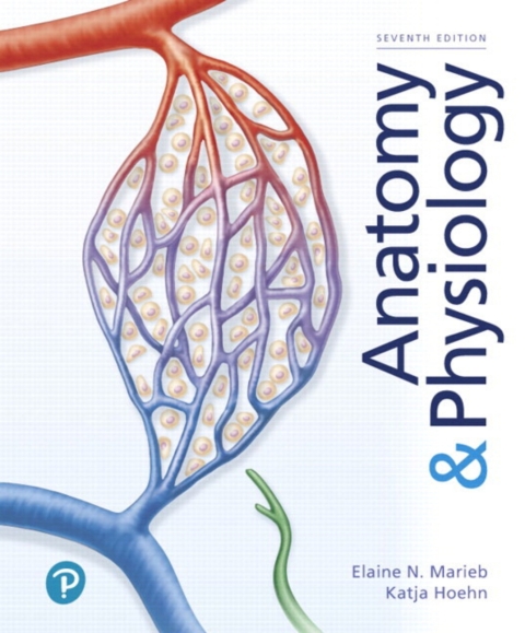 Cover image for book Mastering A&P with Pearson eText Access Code (24 Months) for Anatomy & Physiology