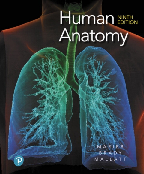 Cover image for book Mastering A&P with Pearson eText Access Code (18 Weeks) for Human Anatomy