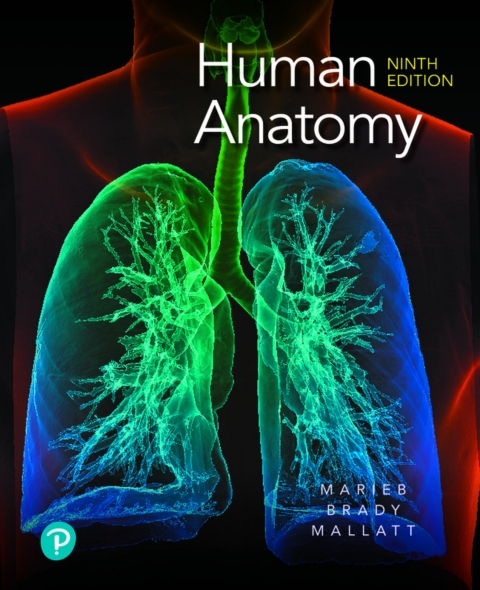 Cover image for book Human Anatomy (Pearson+)