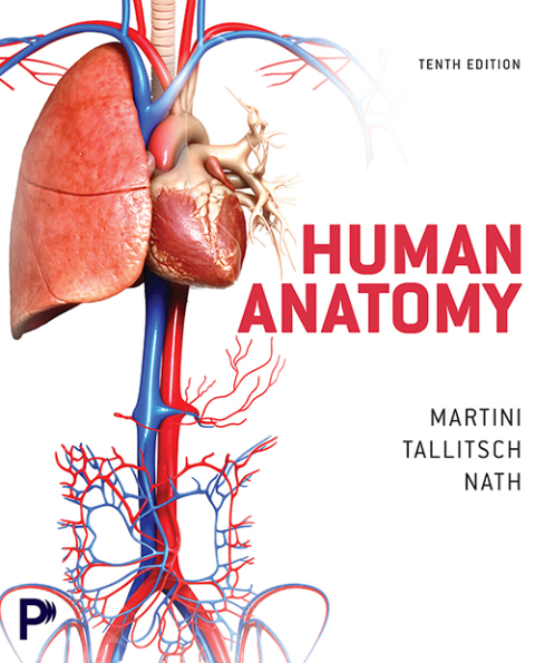 Cover image for book Human Anatomy
