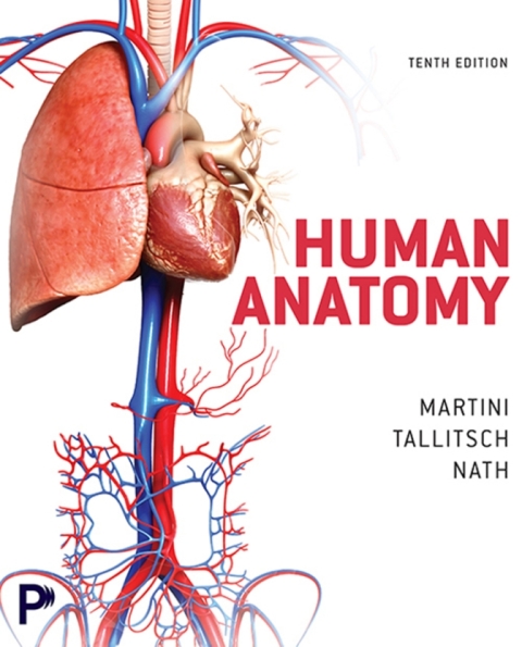 Cover image for book Human Anatomy