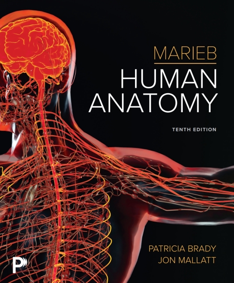 Cover image for book Marieb Human Anatomy