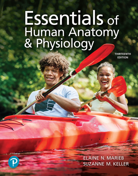 Cover image for book Essentials of Human Anatomy & Physiology