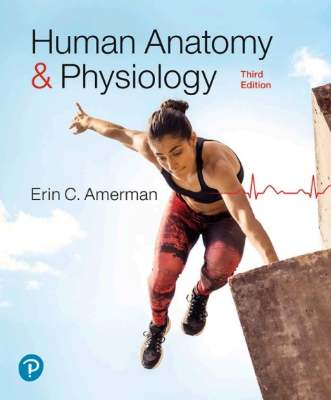Cover image for book Human Anatomy & Physiology