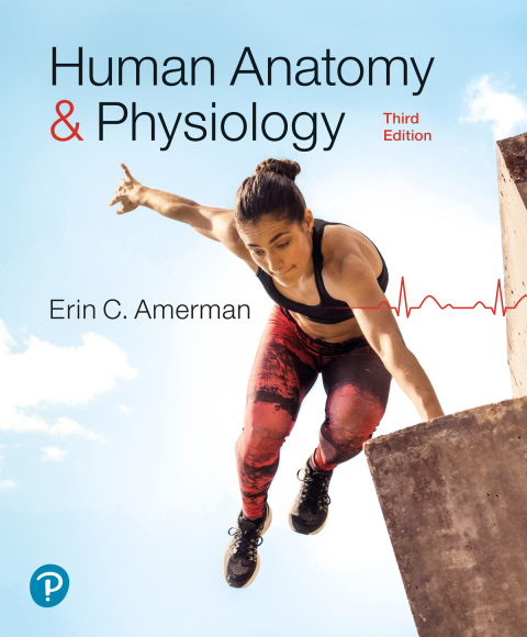Cover image for book Human Anatomy & Physiology