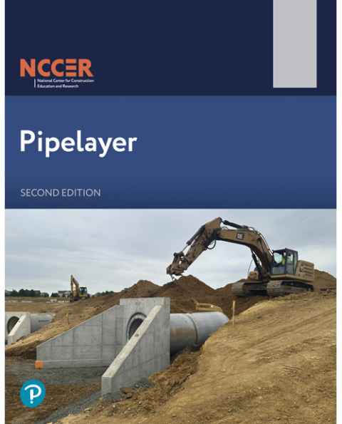 Cover image for book Pipelayer