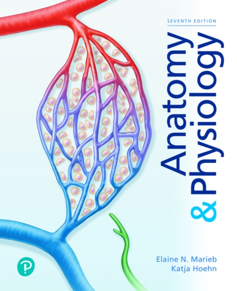 Cover image for book Anatomy & Physiology (Pearson+)