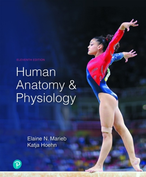 Online Resource Human Anatomy & Physiology (Pearson+); $64.98