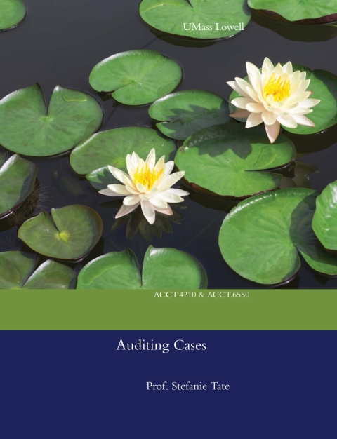 Cover image for book UML Auditing and Advanced Auditing Cases
