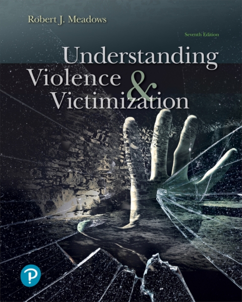 Understanding Violence+Victimization