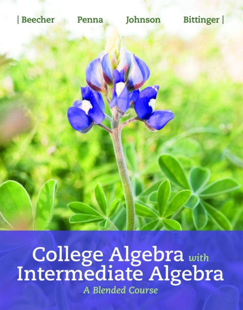Cover image for book College Algebra with Intermediate Algebra: A Blended Course (Pearson+)