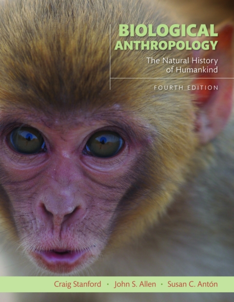 Cover image for book Biological Anthropology: The Natural History of Humankind (Pearson+)