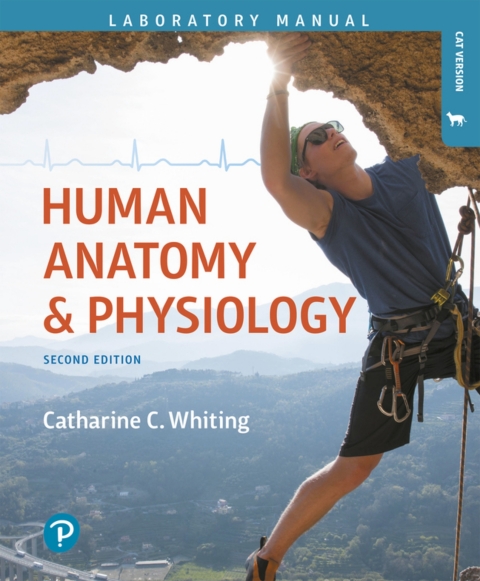 Cover image for book Human Anatomy & Physiology Laboratory Manual: Making Connections, Cat Version (Pearson+)