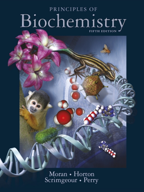 Cover image for book Principles of Biochemistry (Pearson+)