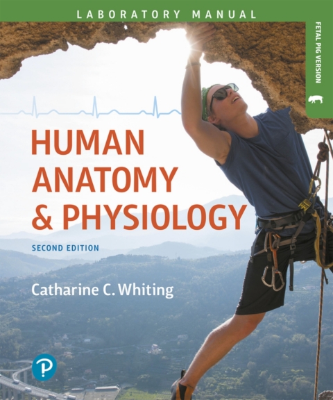 Cover image for book Human Anatomy & Physiology Laboratory Manual: Making Connections, Fetal Pig Version (Pearson+)
