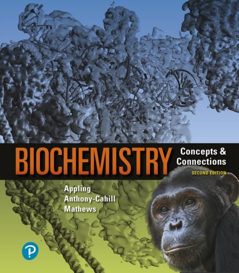 Cover image for book Biochemistry: Concepts and Connections (Pearson+)