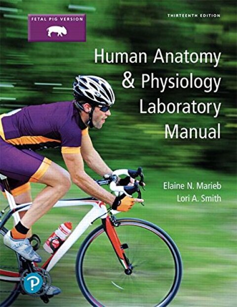 Cover image for book Human Anatomy & Physiology Laboratory Manual, Fetal Pig Version (Pearson+)