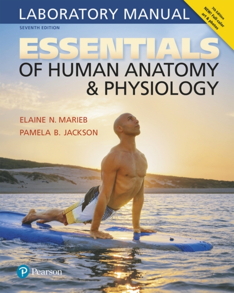 Cover image for book Essentials of Human Anatomy & Physiology Laboratory Manual (Pearson+)