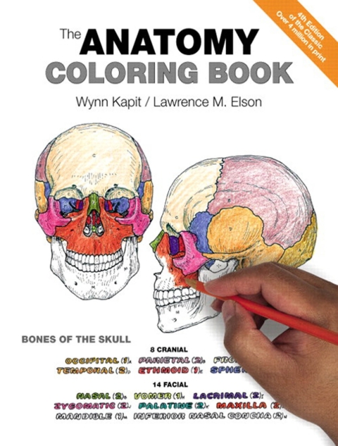 Anatomy Coloring Book