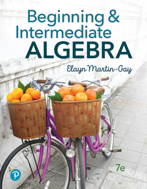 Cover image for book Beginning & Intermediate Algebra