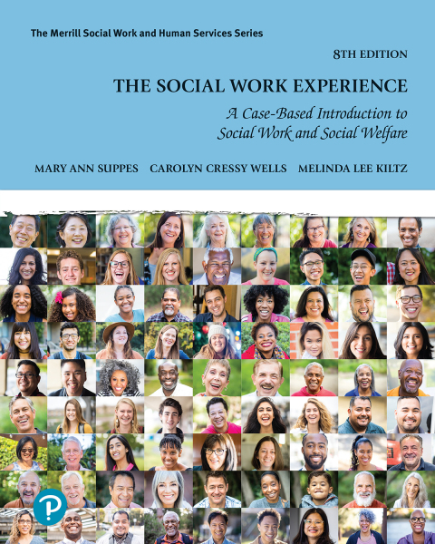 Cover image for book The Social Work Experience