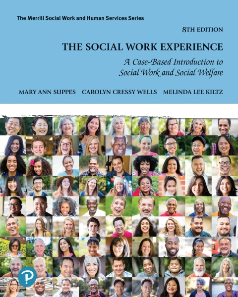 Cover image for book The Social Work Experience