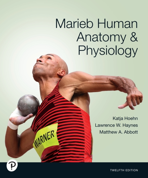 Cover image for book Marieb Human Anatomy & Physiology