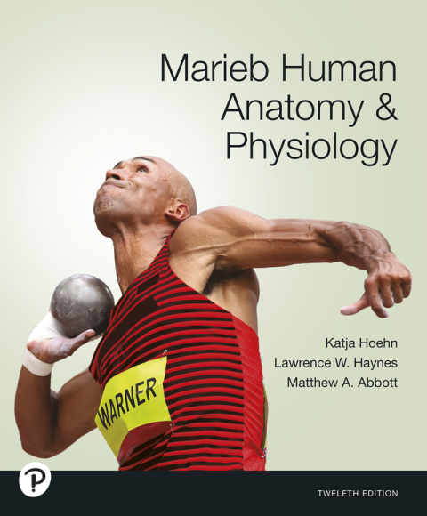 Cover image for book Marieb Human Anatomy & Physiology (Pearson+)