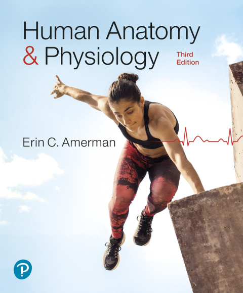 Human Anatomy+Physiology