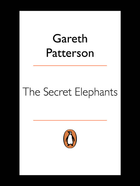 Cover image for book The Secret Elephants