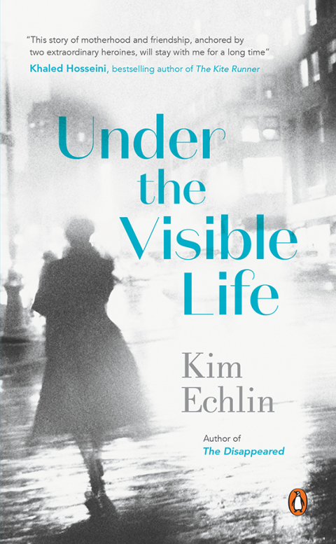Cover image for book Under the Visible Life