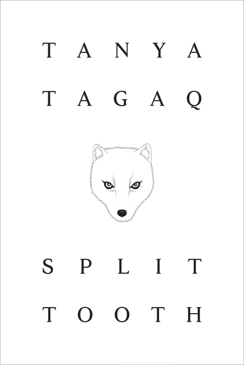Cover image for book Split Tooth