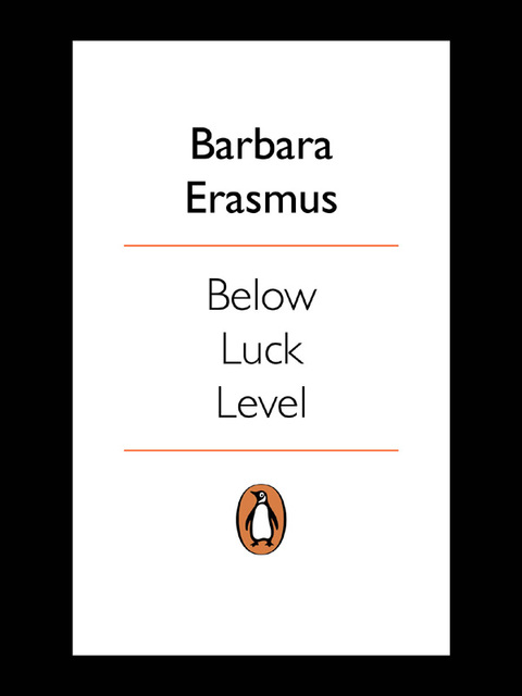 Cover image for book Below Luck Level
