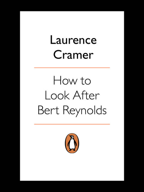 Cover image for book How To Look After Bert Reynolds