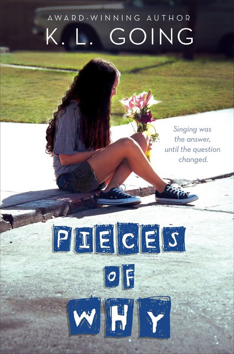 Cover image for book Pieces of Why