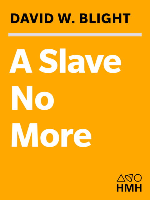 Cover image for book A Slave No More