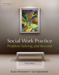 social work practice problem solving and beyond 3rd edition