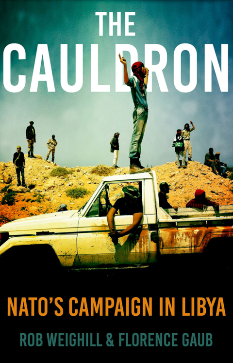 Cover image for book The Cauldron