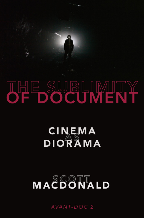 Cover image for book The Sublimity of Document