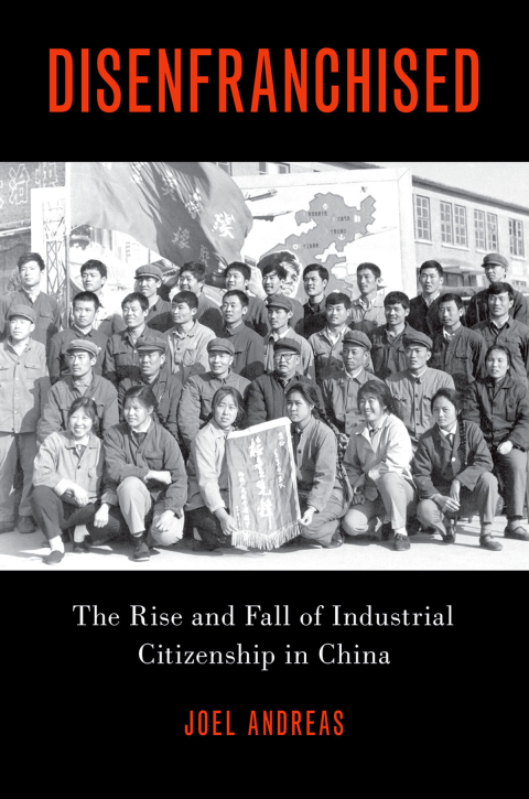 Cover image for book Disenfranchised