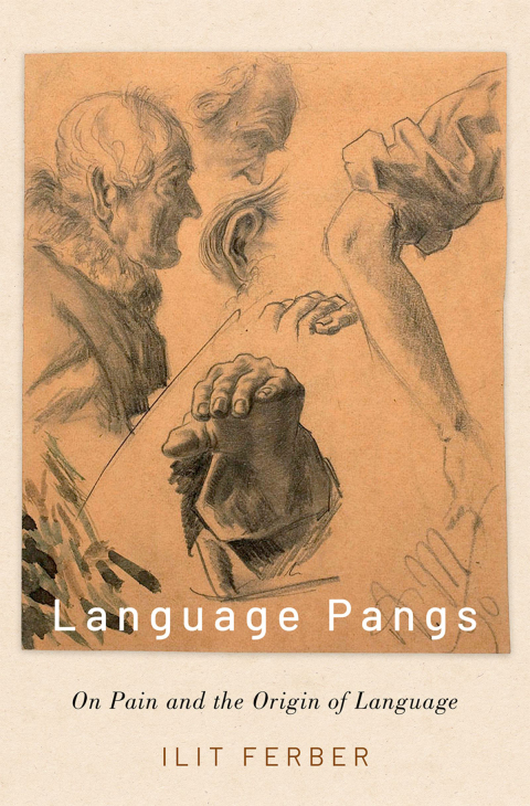Cover image for book Language Pangs