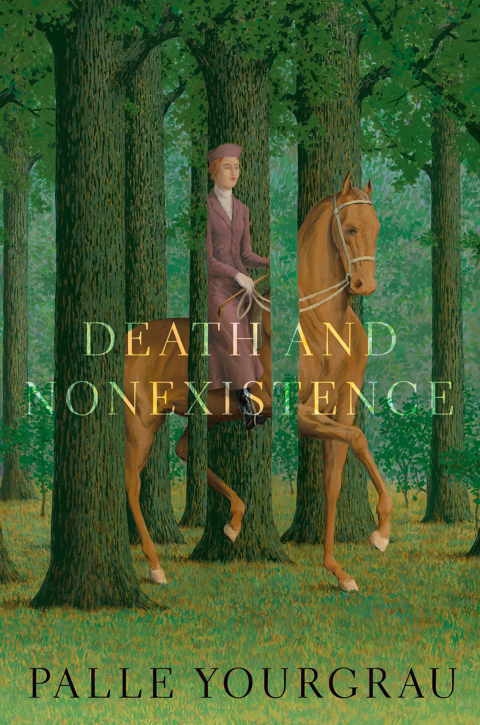 Cover image for book Death and Nonexistence