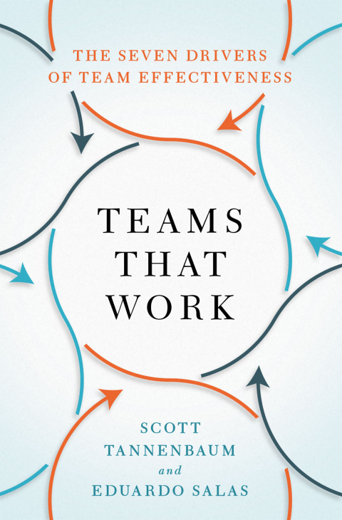 Cover image for book Teams That Work