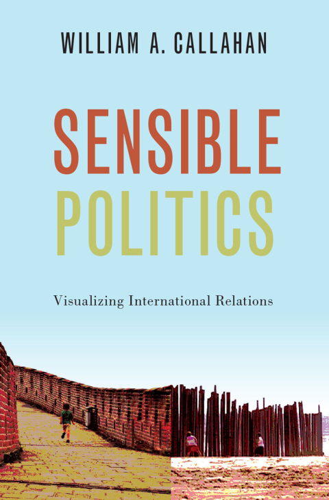 Cover image for book Sensible Politics