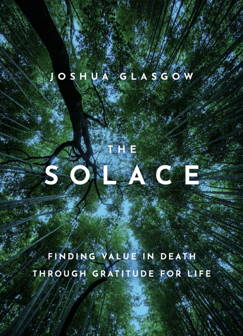 Cover image for book The Solace