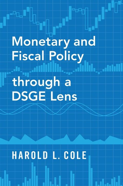Cover image for book Monetary and Fiscal Policy through a DSGE Lens