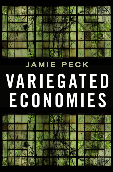 Cover image for book Variegated Economies