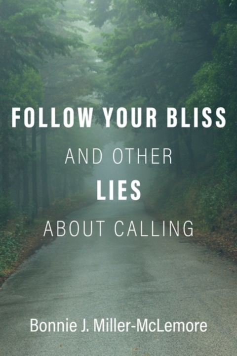 Cover image for book Follow Your Bliss and Other Lies about Calling