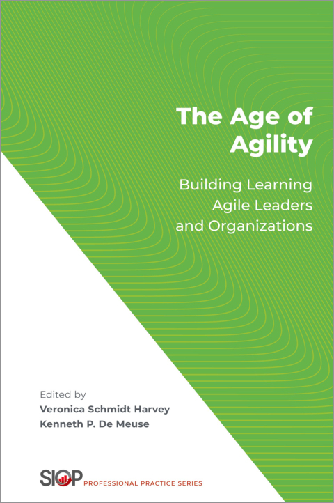 Cover image for book The Age of Agility