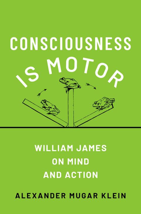 Cover image for book Consciousness Is Motor
